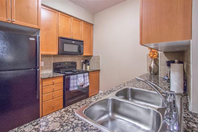 Platinum Suites Furnished Executive Suites Мисисага Екстериор снимка